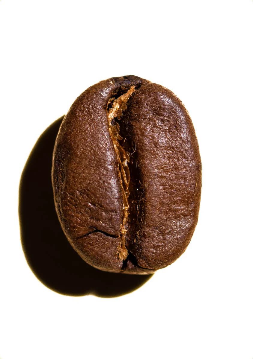 البنّ العربي